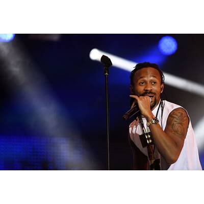 Donauinselfest 2015: Alle Bilder