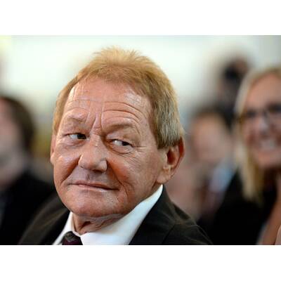 Großes Ehrenzeichen für Wolfgang Ambros