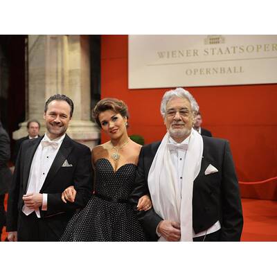 Die Stars beim Opernball 2016
