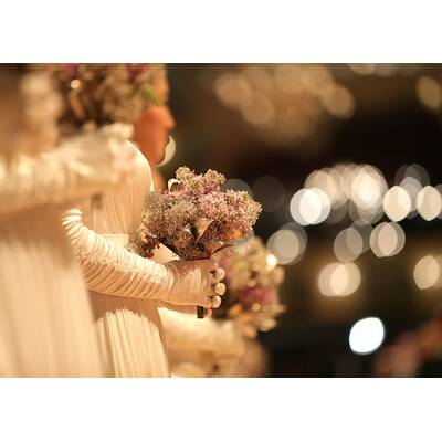 Die glamouröse Eröffnung des Opernballs 2016