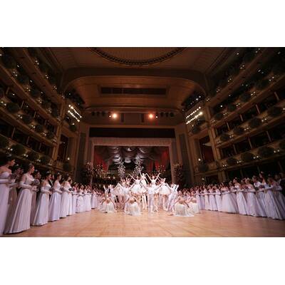 Die glamouröse Eröffnung des Opernballs 2016