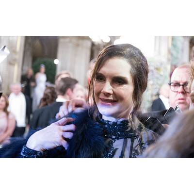 Opernball 2016: Die schönsten Momente