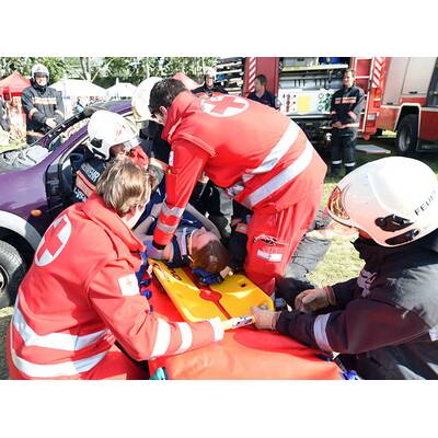 Donauinselfest: Die besten Bilder vom Samstag