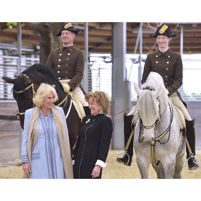 Herzogin Camilla bei den Lipizzanern