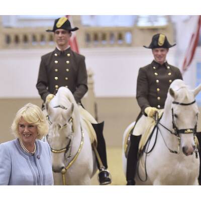 Herzogin Camilla bei den Lipizzanern