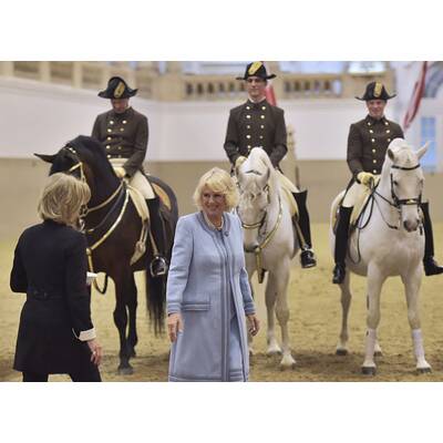Herzogin Camilla bei den Lipizzanern