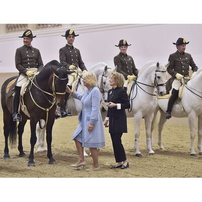 Herzogin Camilla bei den Lipizzanern