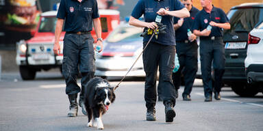 Rettungshunde: Gef&auml;hrlicher Einsatz im Einsturz-Haus
