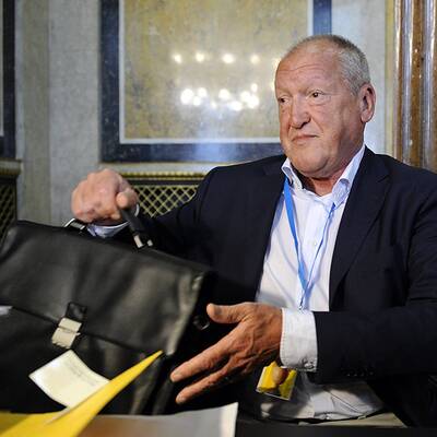 Ernst Karl Plech, Ex-Buwog-Aufsichtsrat-Präsident