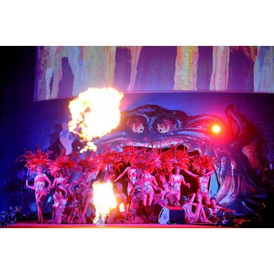 Life Ball 2012: Alle Stars - Alle Bilder