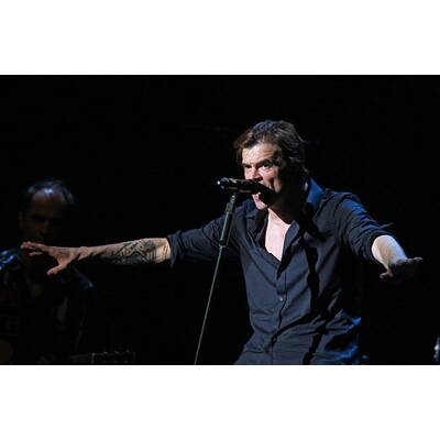 Die Toten Hosen in Wien