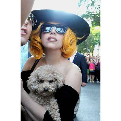 Lady Gaga - Ankunft in Wien