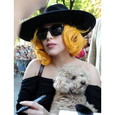 Lady Gaga - Ankunft in Wien