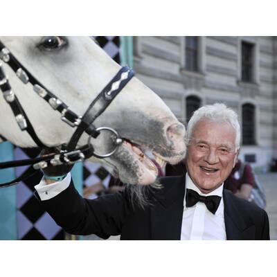 Stronach: Seine besten Bilder