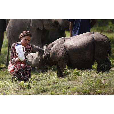 Herzogin Kate & Prinz William in Indien