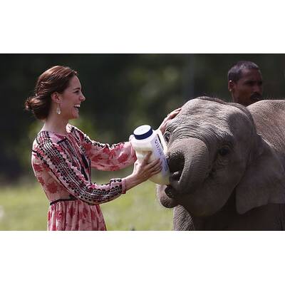 Herzogin Kate & Prinz William in Indien