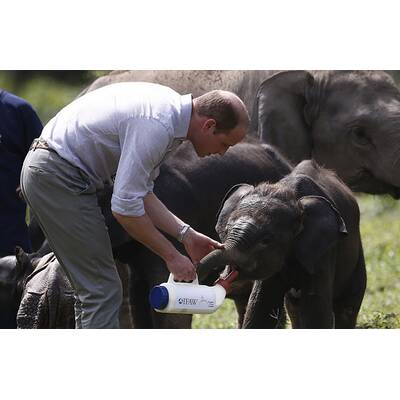 Herzogin Kate & Prinz William in Indien
