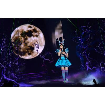 Eurovision Song Contest: Alle Bilder
