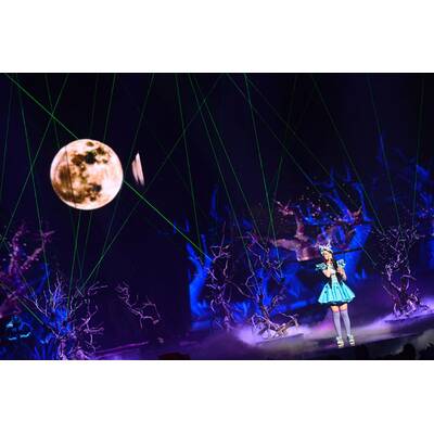 Eurovision Song Contest: Alle Bilder