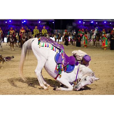 Die Queen feiert 90er mit den Stars