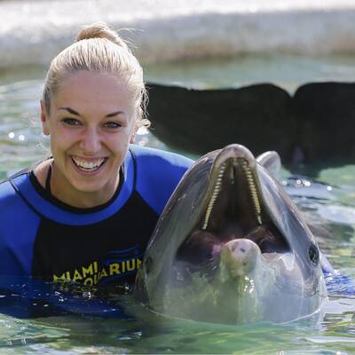 Tennis-Stars spielen in Miami mit Delfinen