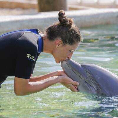 Tennis-Stars spielen in Miami mit Delfinen