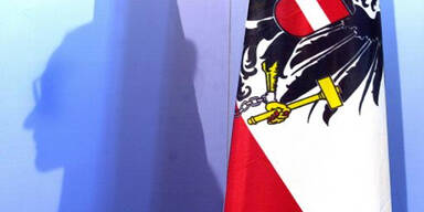 APA ?sterreich Flagge