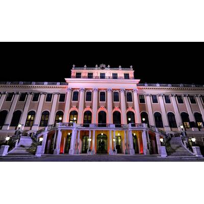 Pink Ribbon Night 2010