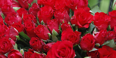 Filmtipps zum Valentinstag: romantisch, traurig, skurril