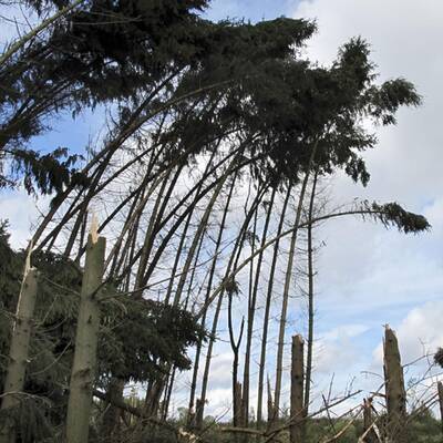 Tornado in Deutschland