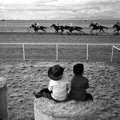 Die besten Bilder aus 2007