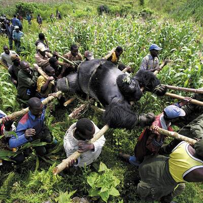 Die besten Bilder aus 2007