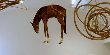 Wieso hängt hier ein Pferd vom Plafond?