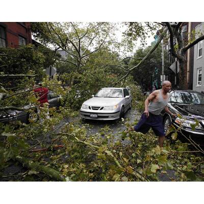 Schwere Orkanschäden in Brooklyn