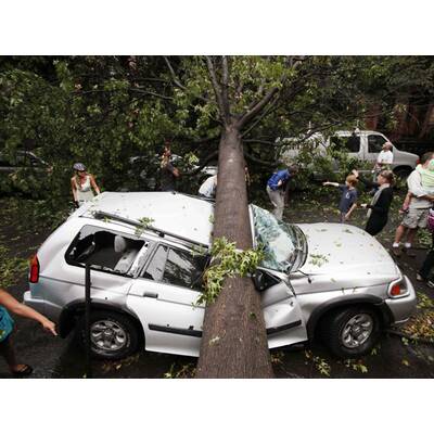 Schwere Orkanschäden in Brooklyn