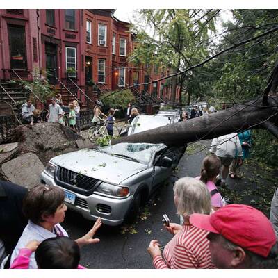Schwere Orkanschäden in Brooklyn