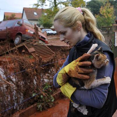 Schwerer Chemie-Unfall in Ungarn