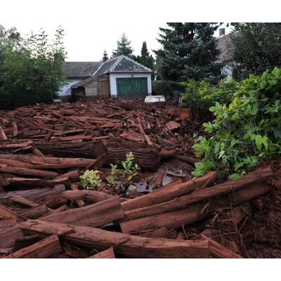 Schwerer Chemie-Unfall in Ungarn