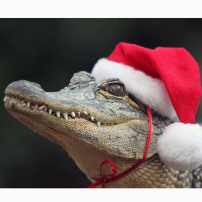 Weihnachtsmänner aus aller Welt