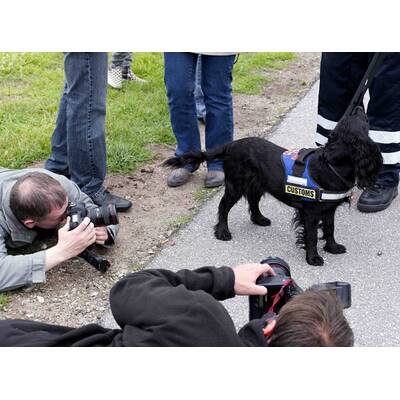 Dänemark: Kontrollen an Grenze zu Deutschland
