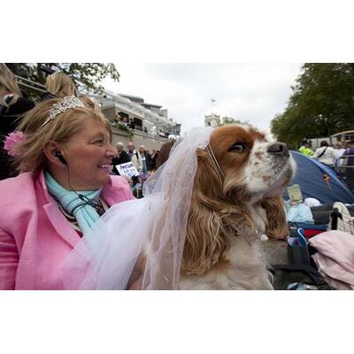 Kate und William heiraten: Fans vor der Westminster Abbey
