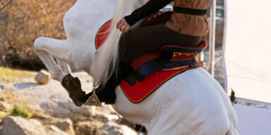 Becks spielt den Märchenprinzen