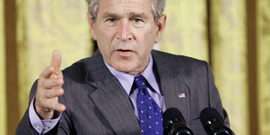 AP_bush_rede