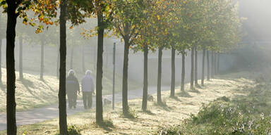 AP_wetter_herbst_nebel