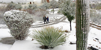 Bis zu 60 Zentimeter Schnee in Arizona