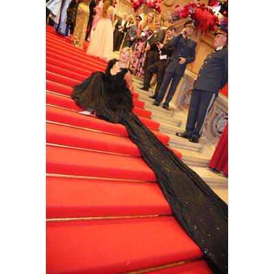 Opernball 2026: Die Gäste