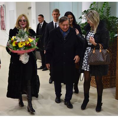 Melanie Griffith in Wien gelandet 