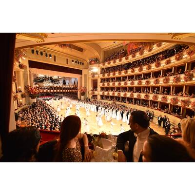 Opernball 2017 - Die besten Bilder