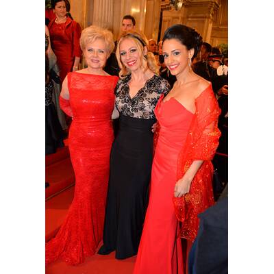 Die schönsten Opernball-Roben 2014