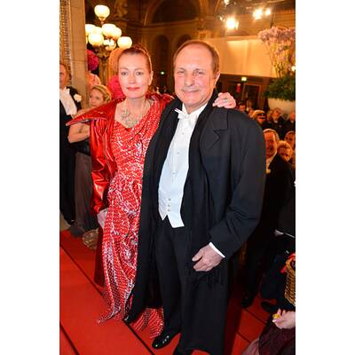 Die Stars am Opernball 2014